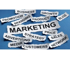 Expert Marketing in Adelaide to Elevate Your Brand