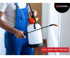 Pest Control Services in Port Kennedy: Effective and Affordable Help