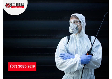 Get Rid of Mosquitoes: Effective Mosquito Control Solutions