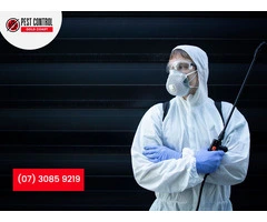 Get Rid of Mosquitoes: Effective Mosquito Control Solutions