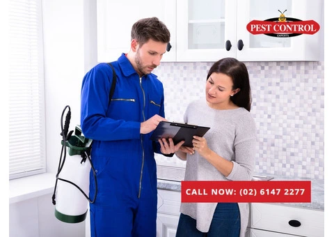 Termite Exterminator Services in Canberra: Fast and Reliable Help