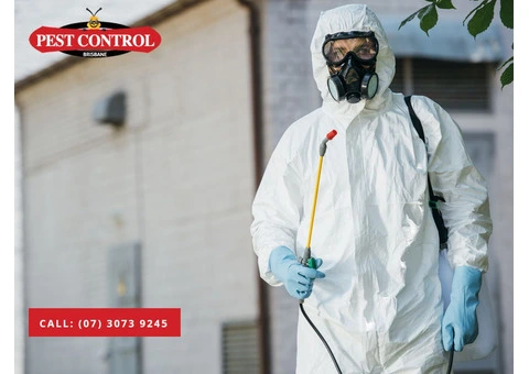 Loganholme Pest Control Services: Reliable Solutions for Your Property