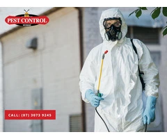 Loganholme Pest Control Services: Reliable Solutions for Your Property