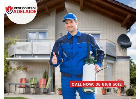 Port Adelaide Pest Control Services: Trusted Protection Against Pests