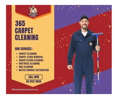 Best Couch Steam Cleaning in Sydney | 365 Carpet Cleaning