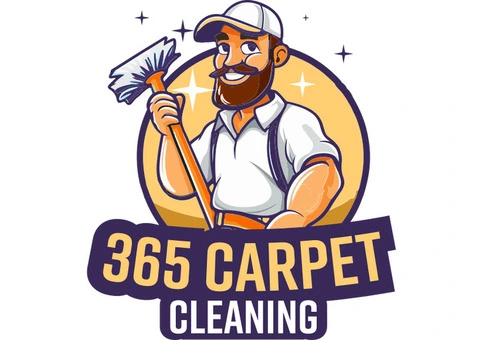 Best Couch Steam Cleaning in Sydney | 365 Carpet Cleaning - 2/2