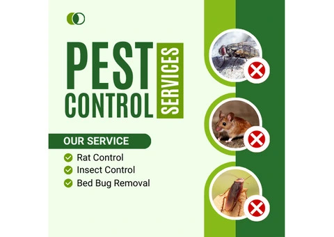 Say Goodbye to Pests with Keysborough’s Trusted Team