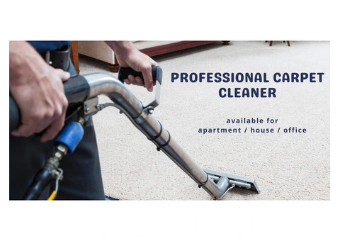 For Spotless Carpets, Call Campbelltown’s Finest Cleaners