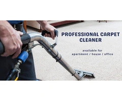 For Spotless Carpets, Call Campbelltown’s Finest Cleaners