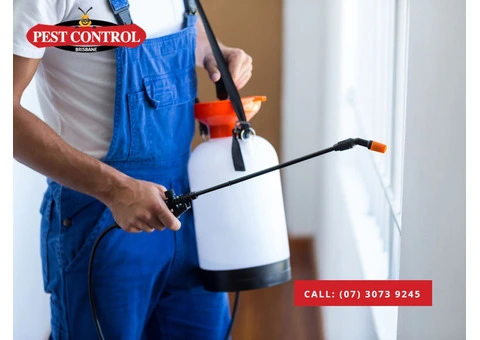 Pest Control Browns Plains: Expert Services for All Pests