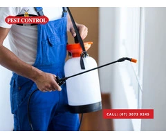 Pest Control Browns Plains: Expert Services for All Pests