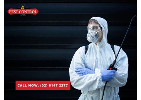 Best Termite Protection: Safe & Effective Solutions