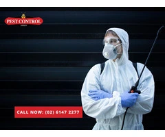 Rat Exterminator Canberra: Fast & Reliable Rodent Control