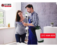 Building Inspection Gold Coast: Professional Pest Assessments