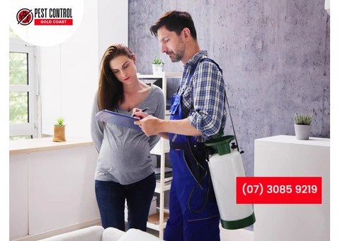 Termite Inspection Gold Coast: Safe & Detailed Service