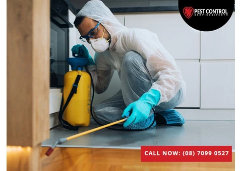 Pest Control Fremantle: Swift Solutions for Any Pest