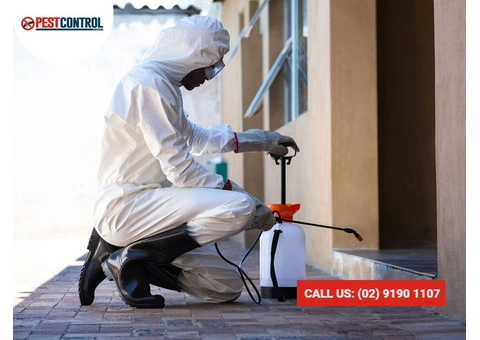 Cockroach Extermination Sydney: Proven Pest Control