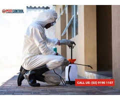 Cockroach Extermination Sydney: Proven Pest Control