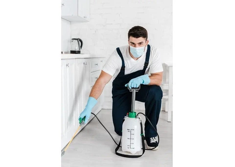 Termite Protection Sydney: Prevent Infestations with Experts