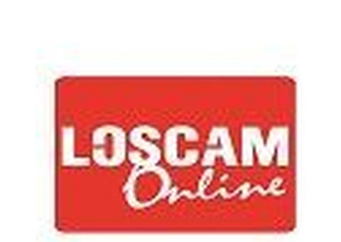 Loscam: Your Source for Reliable Wooden Pallets