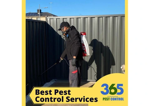 Emergency Pest Control – Your Trusted Lifeline for Pest Problems.