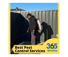 Emergency Pest Control – Your Trusted Lifeline for Pest Problems.