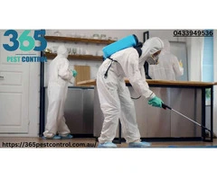 Pest Control Truganina – Your Premier Choice for Effective Pest Solutions.