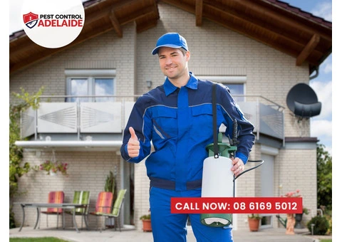 Professional Pest Control in Glenelg: Exterminate Pests Fast