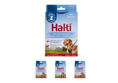 Buy Halti No-Pull Harness for Dogs | VetSupply