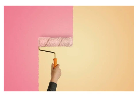 Transform Your Curb Appeal with Expert Exterior House Painting in Brisbane