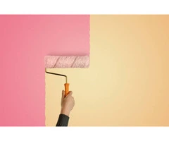 Transform Your Curb Appeal with Expert Exterior House Painting in Brisbane