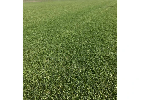 Australian Seed & Turf Farm