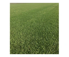 Australian Seed & Turf Farm