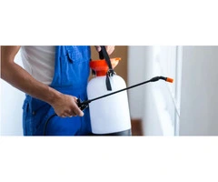 Pest Control Oxenford