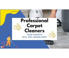 Transform Your Floors with Expert Carpet Cleaning in Aspley