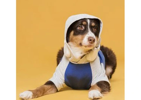 Comfortable and Stylish Dogs Clothing for Every season