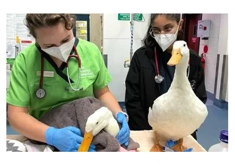 Knowledgeable and Skilled Early Childhood Education Professionals Southern River