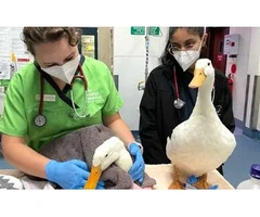 Knowledgeable and Skilled Early Childhood Education Professionals Southern River