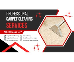 Revitalize Your Home with Professional Carpet Cleaning in Hawthorn – Fresh, Clean, and Spotless