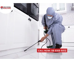 Pest Control Blewitt Springs: Comprehensive Pest Management