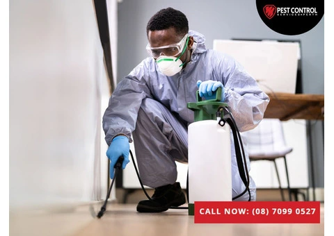 Affordable Pest Control in Maddington for All Infestations