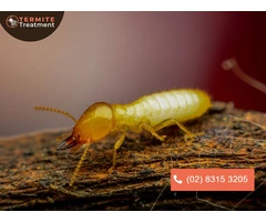 Water Pipe Repair: Expert Services to Fix Leaks and Damage