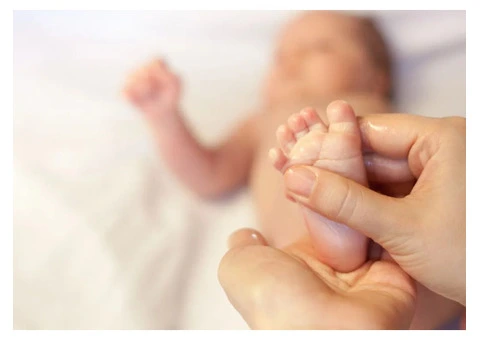 Massage Oil Adelaide