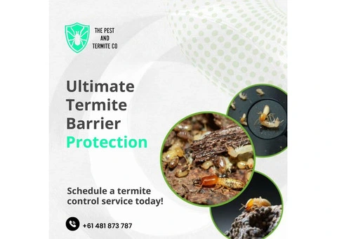 Ultimate Termite Barrier Protection for Your Gold Coast Home!