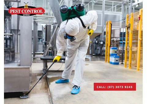 Commercial Pest Removal Cost Brisbane