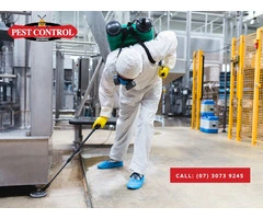 Commercial Pest Removal Cost Brisbane