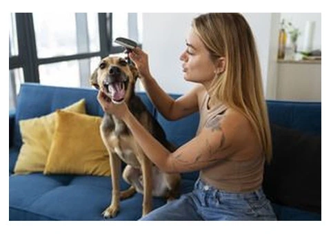 Complete Health & Hygiene Care for Dogs: Clean, Healthy, Happy Pets