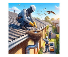 Bird Nest Removal Melbourne