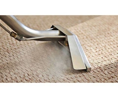 Looking For Carpet Steam Cleaning Perth