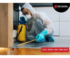 Comprehensive Pest Control Services in Midland